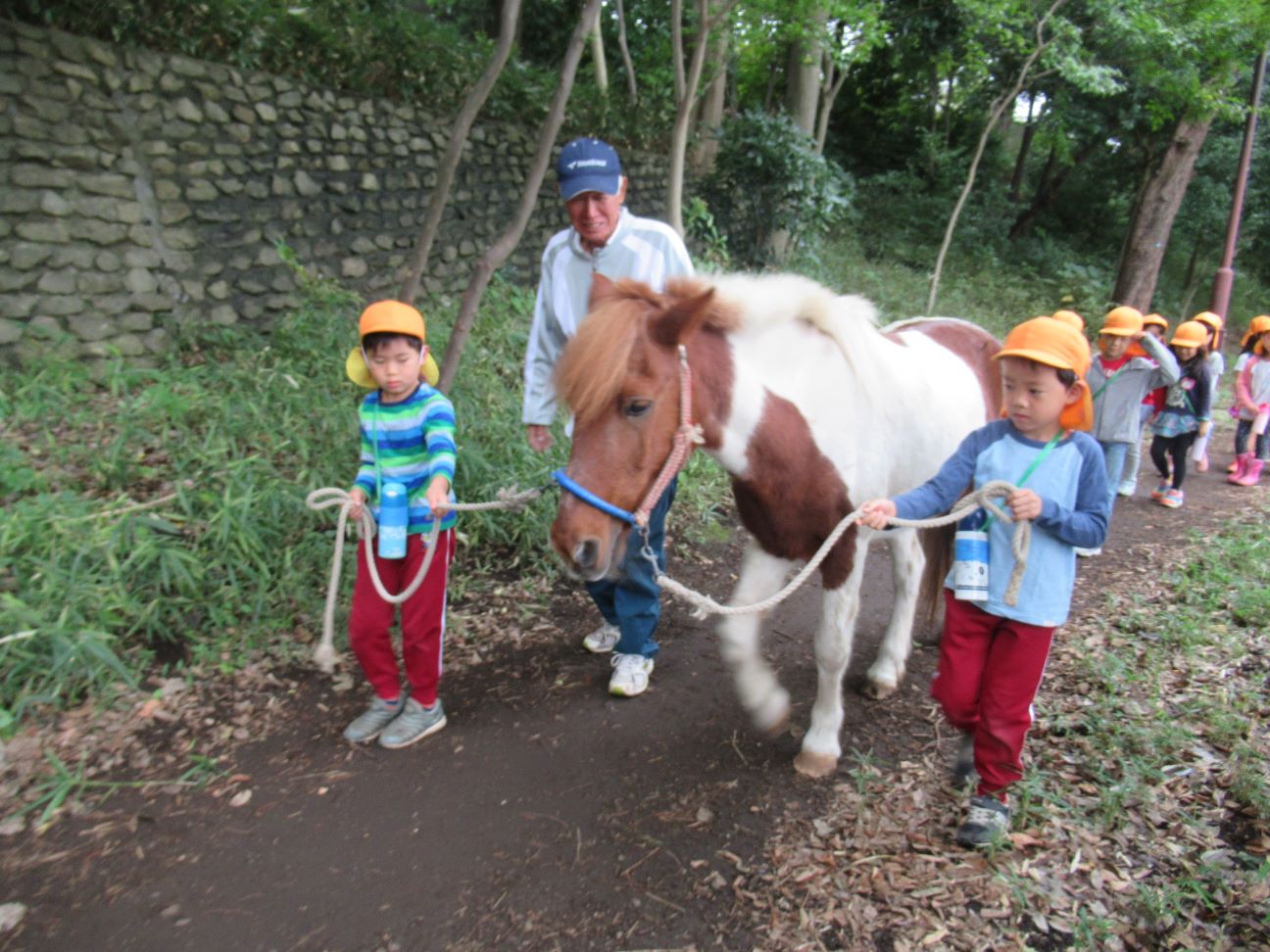 ポニー引き綱 清心幼稚園